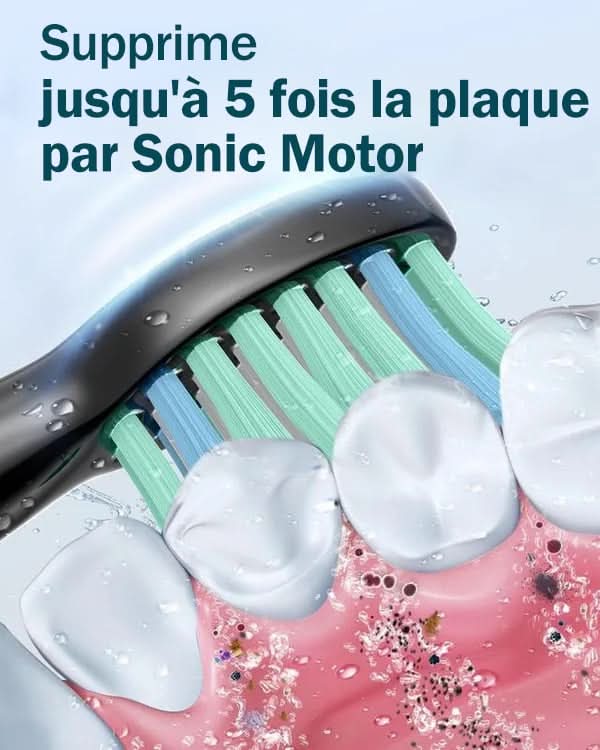 Sonic electric toothbrush - Sccoti