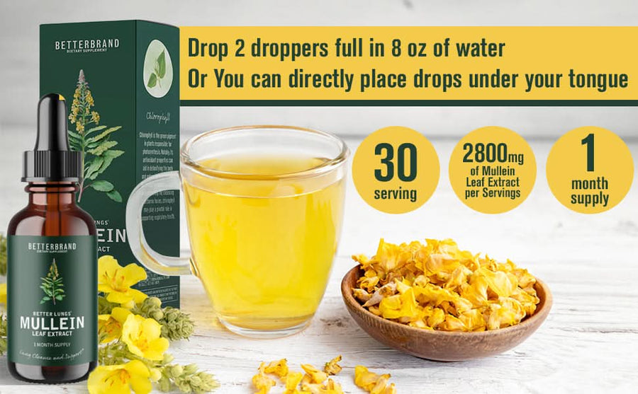 Mullein Leaf Extract - Sccoti